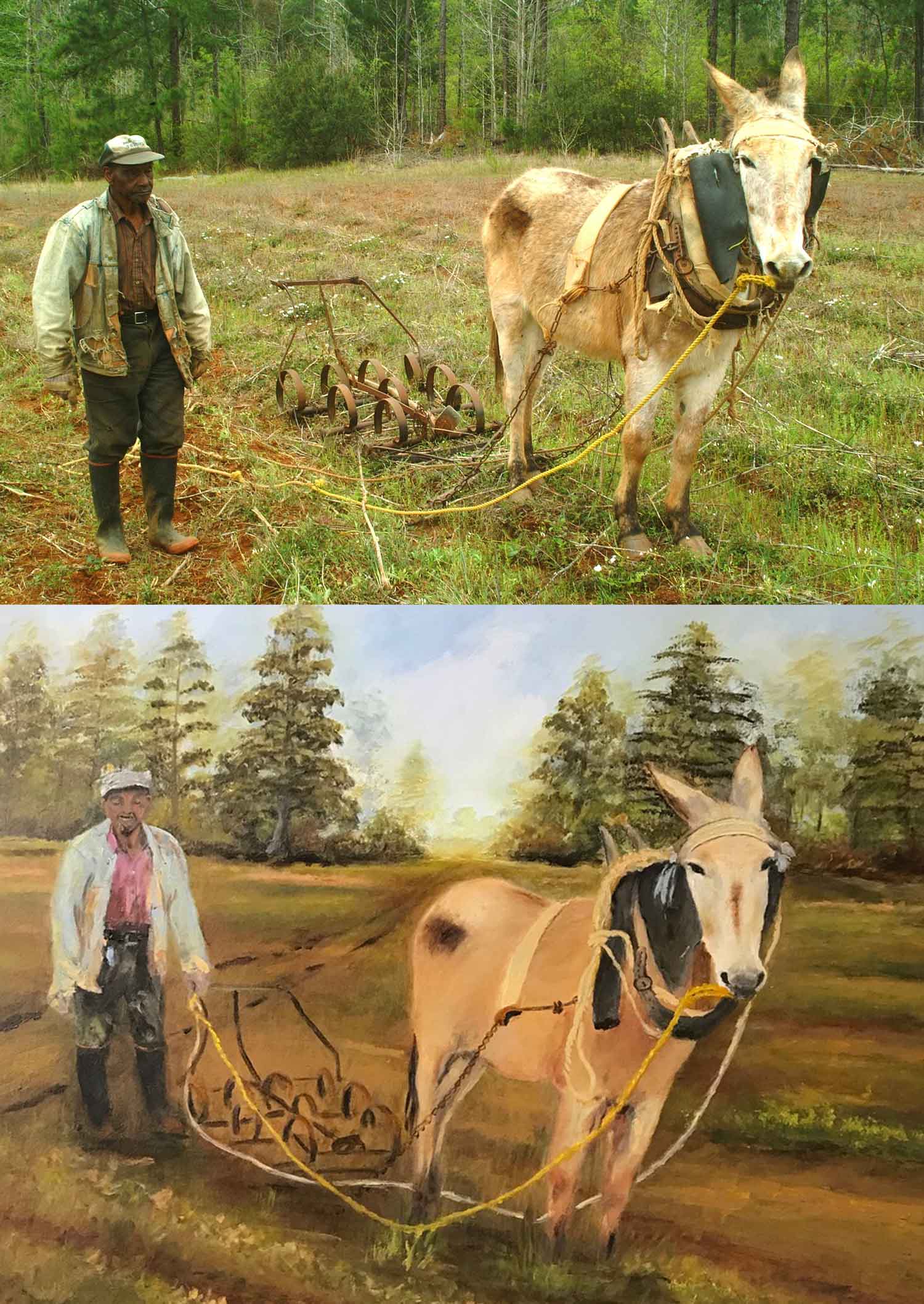 "Man with Mules and Plows" - this window display features Mr. Weathered who spent his whole life farming without modern conveniences, truly living off the land.